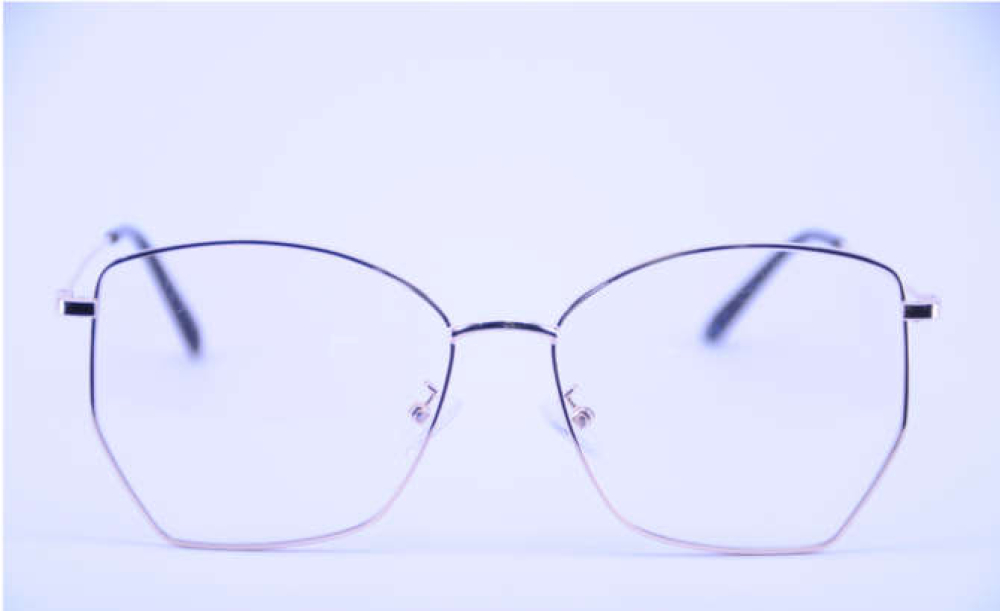 Оправа Leonardo Moretti JS1739 C1 для очков - товары для оптики, фото №